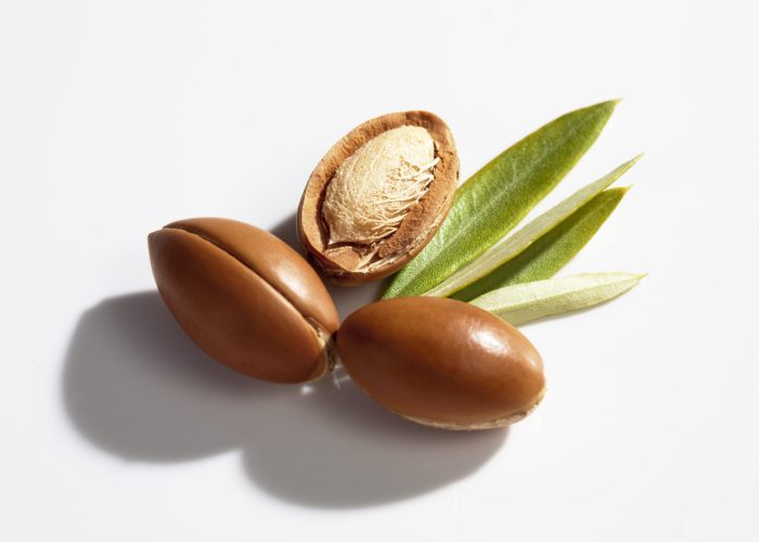 Argan nuts and leaves from Argan tree, Argania spinosa